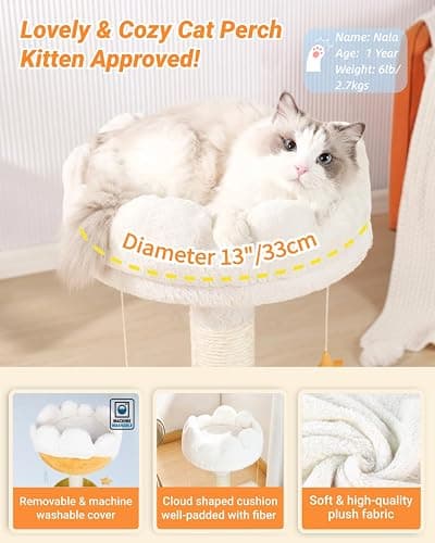 Happi N Pets Cloud Cat Tree, Cat Scratching Post with Bed, Small Cat Tree for Kittens, Cat Scratch Post with Cloud-Shaped Soft Perch & Cute Toys, Removeable Cover, Bonus Catnip thumbnail 4