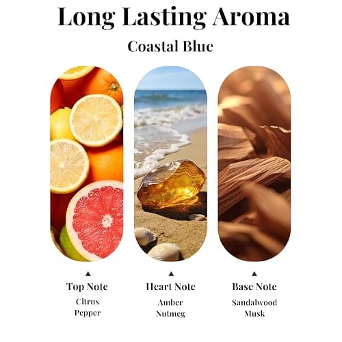 Car Air Fresheners, Colomix Coastal Blue Hanging Car Diffuser 2 Packs, Essential Oil Auto Odor Eliminator, Long Lasting Natural Scent, Car Aroma Freshener for Rearview Mirror thumbnail 2