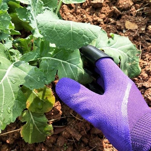 Famoy Claw Gardening Gloves for Planting, Garden Glove Claws for Women thumbnail 4