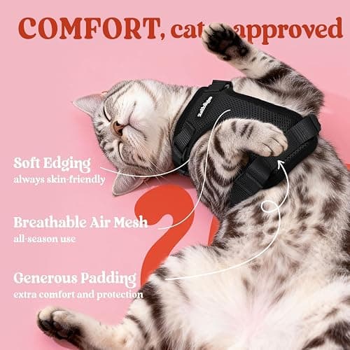 rabbitgoo Cat Harness and Leash for Walking, Escape Proof Soft Adjustable Vest Harnesses for Cats, Easy Control Breathable Reflective Strips Jacket, Black, XS thumbnail 4
