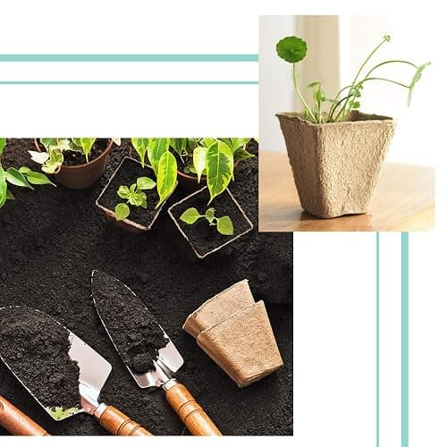 JOYSEUS 3.25" Seed Starter Pots, Organic Planting Peat Pots for Indoor Garden Seedling, 30 Pcs 100% Eco-Friendly and Biodegradable for Seed Germination thumbnail 5