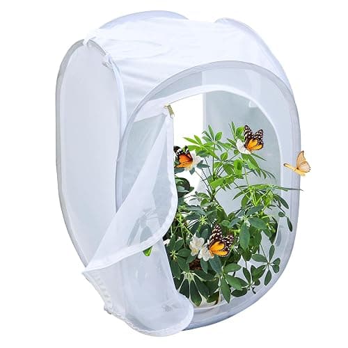 Pop-up Insect and Butterfly Habitat Cage Terrarium Clear Mesh Enclosure - 16" x 16" x 24" thumbnail 6