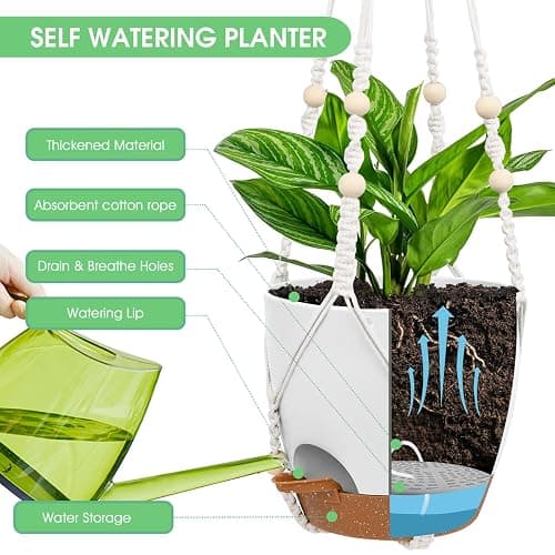 Vanslogreen Hanging Planters for Indoor Outdoor Plants, 2 Pack Self Watering Hanging Pots, Hanging Plant Baskets with Drainage Holes & 2 Types of Plant Hangers (White, 6'') thumbnail 4