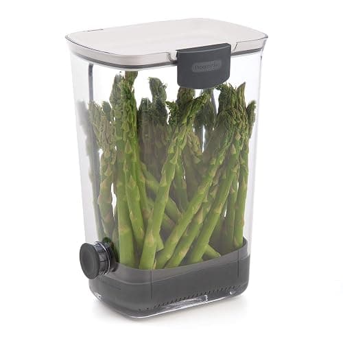 Progressive International PKS-930 BPA-Free Plastic ProKeeper Herb Keeper with Removable Silicone Drain Plug, 1 Piece, White thumbnail 4