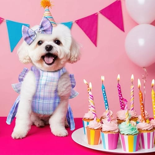 PETCARE Cute Dog Dress Clothes for Small Dogs Cats Girl Female Purple Plaid Bow Tie Dog Harness Dresses Leash Set with Pearls Bow Accessories Birthday Puppy Dress Shih Tzu Yorkies Chihuahua Outfits thumbnail 6
