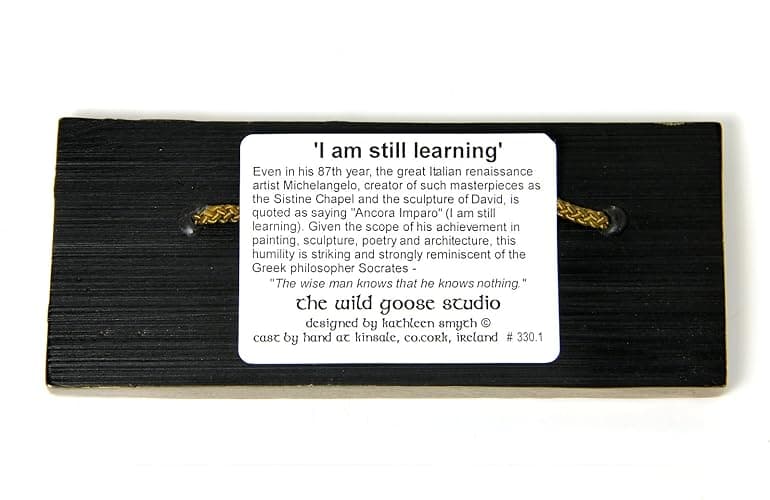 Wild Goose Studio I Am Still Learning Irish Plaque Michelangelo Quote Resin Cast Coated In Bronze Indoor Outdoor 2 1/2 Inches Tall By 6 Wide Made in Ireland thumbnail 3