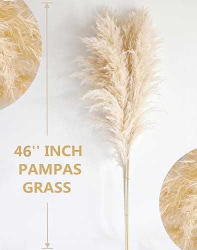 46" inch 10 Stems Natural Pampas Grass Decor Tall, Pompas Grass, Tall Pampas Grass for Weddingm, Farmhouse, Boho Home Decor (Beige) thumbnail 3