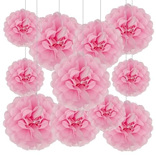 Tissue Paper Pom Poms, Pink Tissue Paper Flowers, Hanging Flower Balls for Weddings Fiesta Parties Birthday Baby Showers Classroom Bridal Shower Decoration (20Piece Set-6/10/12/14Inch) - Image 1