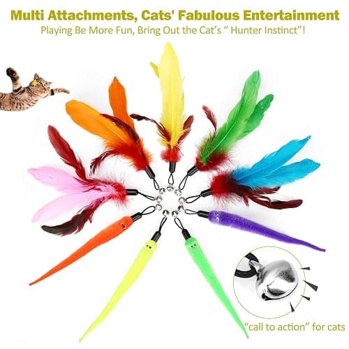 MeoHui Cat Toys for Indoor Cats, Interactive Cat Toy 2PCS Retractable Wand Toy and 9PCS Cat Feather Toys Refills, Funny Kitten Toys Cat Fishing Pole Toy for Bored Indoor Cats Chase and Exercise thumbnail 5