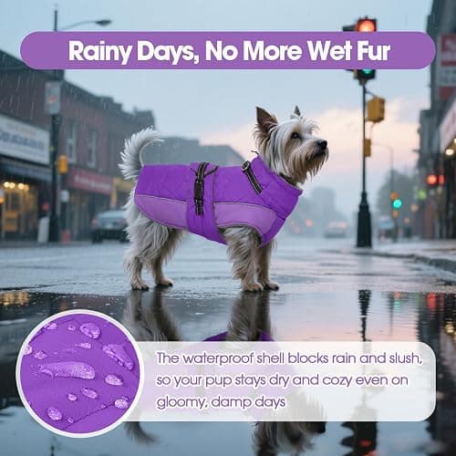 QBLEEV Warm Dog Jacket - Reflective, Adjustable Winter Coat with Turtleneck for Cold Weather, Waterproof Fleece Snowsuit for Small, Medium, Large Dogs thumbnail 4