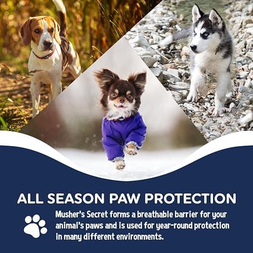 Musher's Secret All-Natural Dog Paw Balm, All-Season Paw Protector, 60g | Moisturizing paw balm for dogs, protects from hot pavement, ice and rough terrain, invisible barrier, all-season paw care thumbnail 4