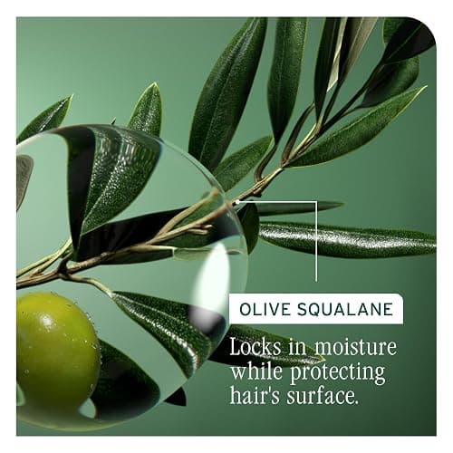 Biolage Strength Recovery Repairing Spray - Leave-In Treatment, Strengthens & Repairs Damaged Hair, Heat Protectant, Detangling Leave-In Treatment, With Olive Squalane & Vegan Proteins thumbnail 6