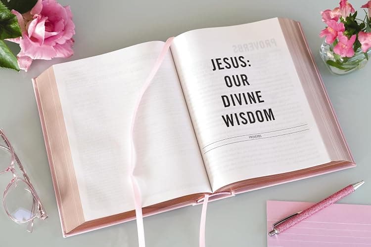 The Jesus Bible, NIV Edition, Leathersoft over Board, Pink, Comfort Print: Sixty-Six Books. One Story. All About One Name. thumbnail 9