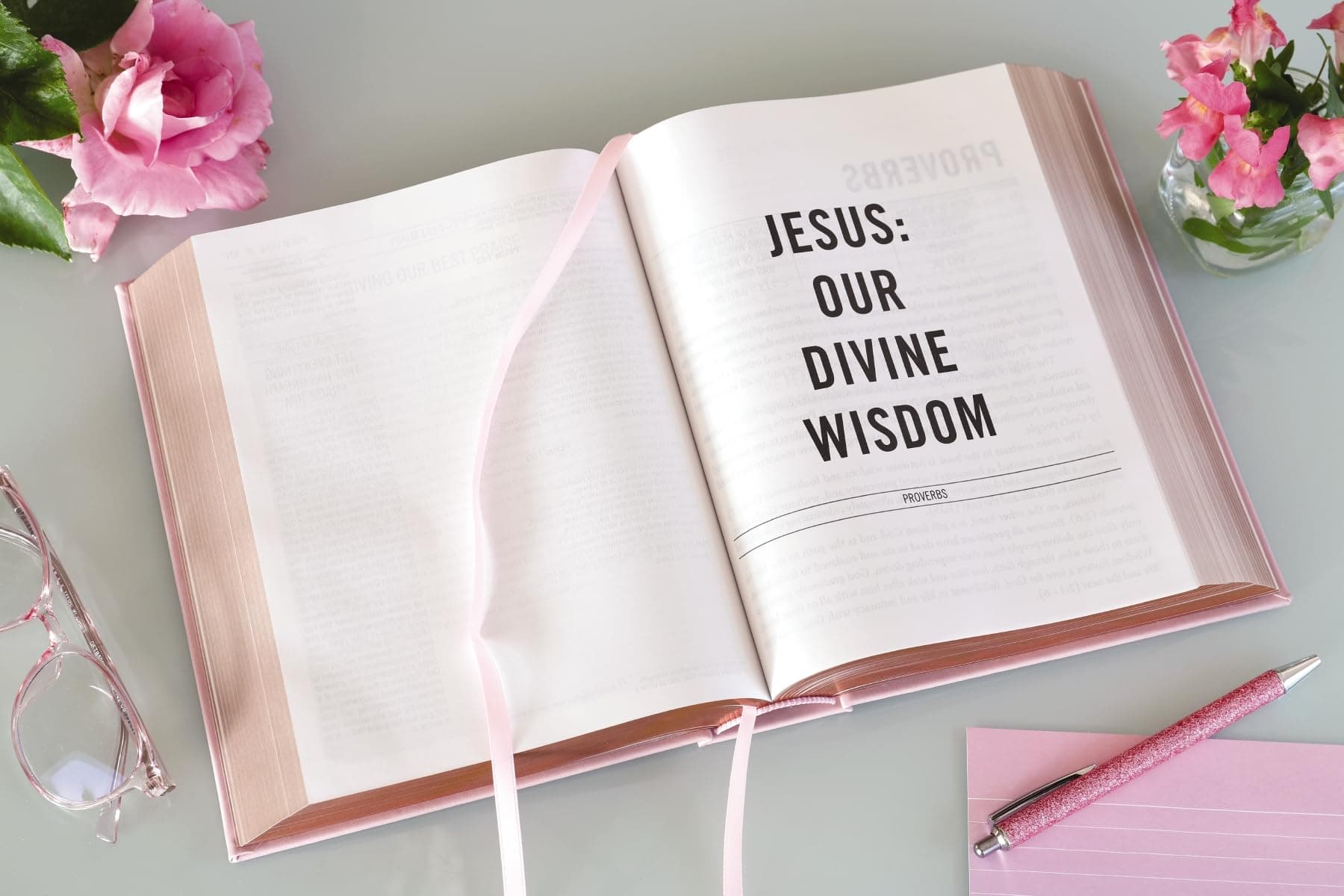 The Jesus Bible [NIV Edition, Pink] thumbnail 8