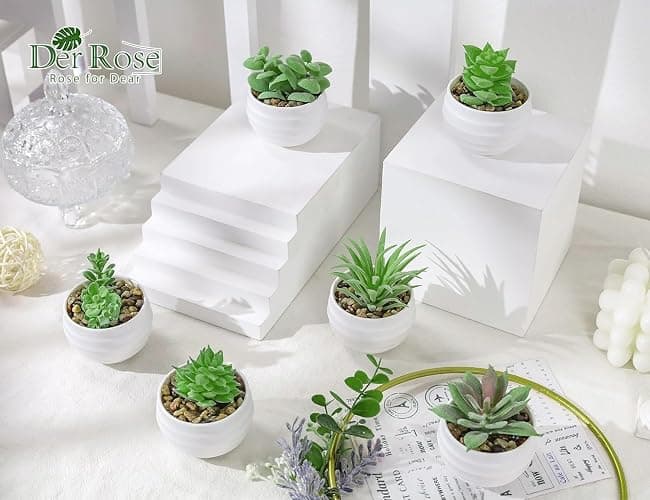 Der Rose 6Pcs Fake Plants Cute Succulent Small Artificial Plants for Home Office Bathroom Living Room Bookshelf Bedroom Decor Indoor Aesthetic thumbnail 6