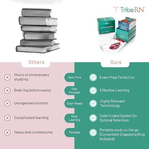 TribeRN Anatomy and Physiology Flash Cards – 320 Study Resources for Students – Human Anatomy & Physiology Study Tools – Medical, Nursing School Essentials – Durable & Easy to Use Flashcards thumbnail 2