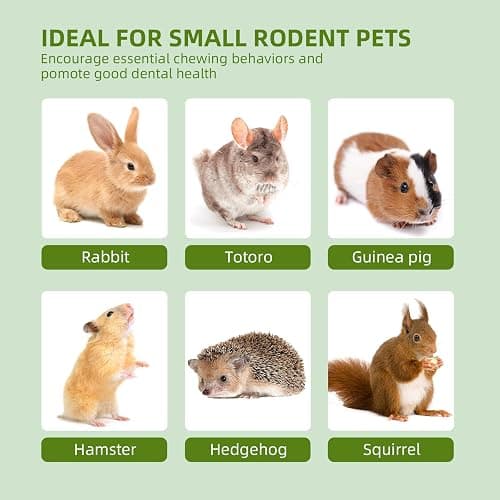 Hay Natural Rabbit Chew Toys, Treats for Guinea Pigs & Hamsters - Natural Chew Sticks & Balls Set for Small Animals, Dental Care Treats for Chinchillas, Bunny - 20+ Toys for Teeth Health (30 Pieces) thumbnail 6