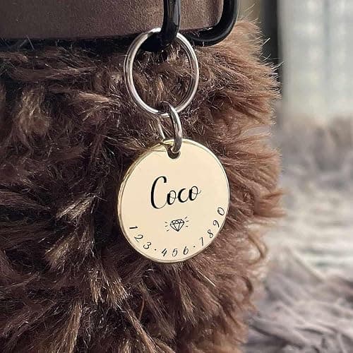 Cats Dogs ID Tags Personalized Lovely Symbols Pets Collar Name Accessories Simple Custom Engraved Products for Extra Small Four Legged Child Necklace Chain Anti-Lost Industrial Steel Charm thumbnail 7