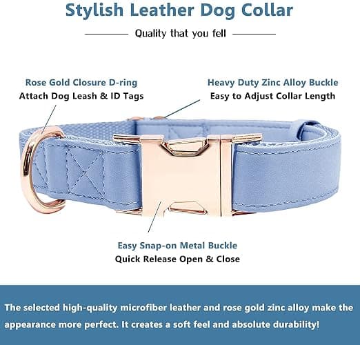 Soft Leather Dog Collar and Leash (6.6') Set - Stylish Rose Gold Heavy Duty Metal Buckle, 4 Adjustable Lengths Leash for Small Medium Large Dogs - Comfortable & Easy to Clean BluePurple L(15.4"-24.8") thumbnail 3