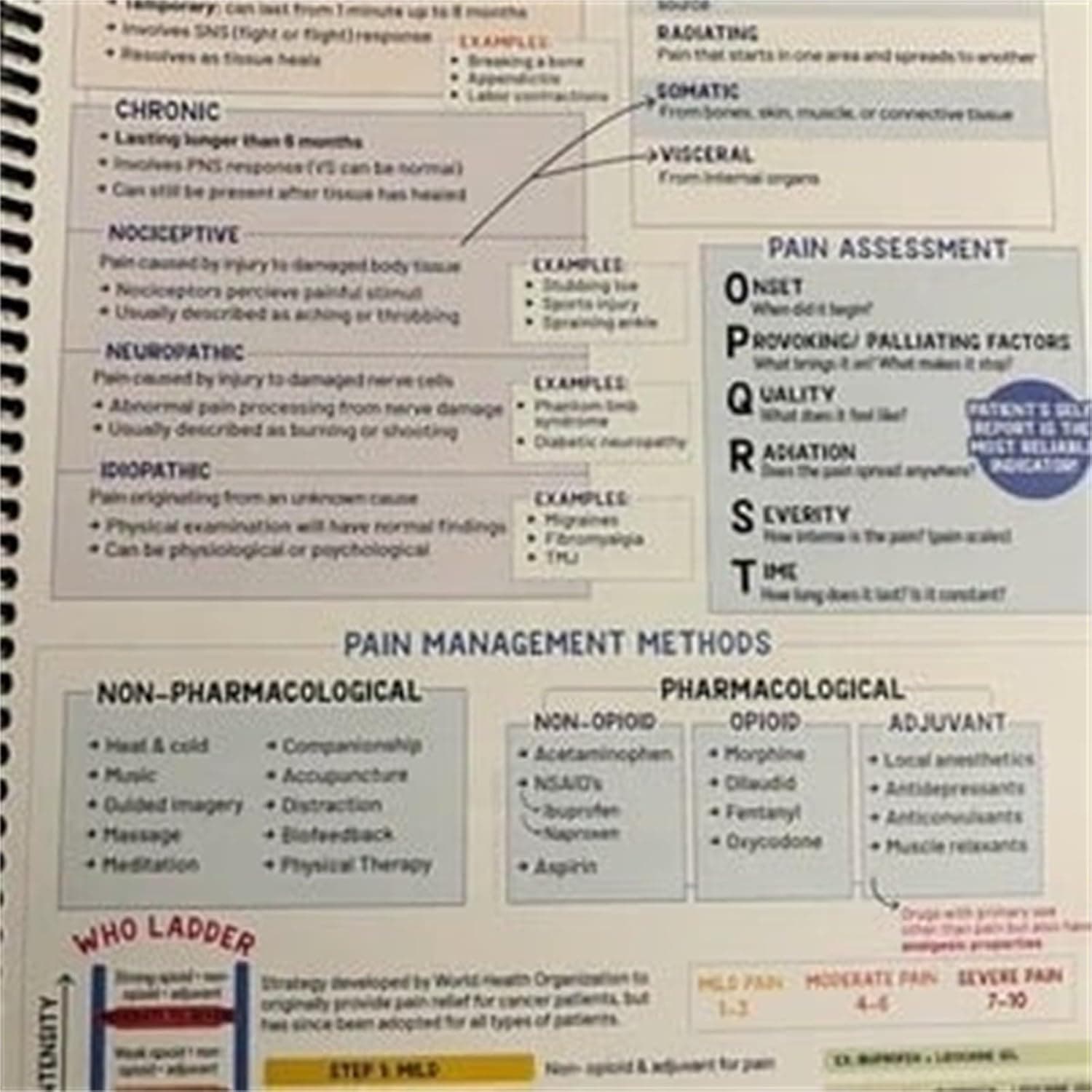 Nursing School Success Bundle,Nursing School Notes Success，Nursing School Success Bundle Nurse Well Versed,Nursing School Essentials thumbnail 2