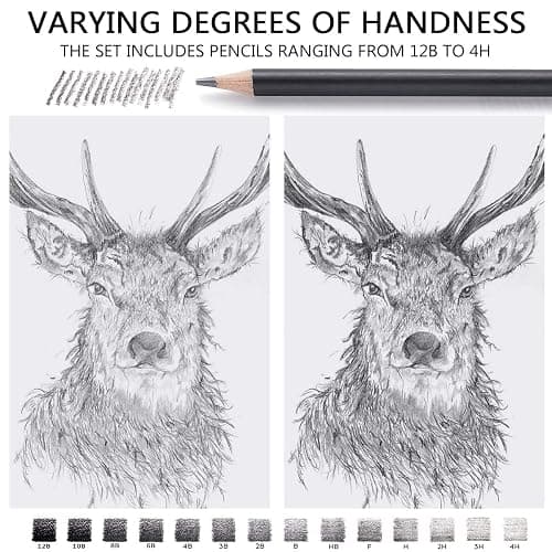 MARKART Professional Drawing Sketching Pencil Set - 14 Pieces,Graphite,(12B - 4H), Ideal for Drawing Art, Sketching, Shading, Artist Pencils for Beginners & Pro Artists thumbnail 6