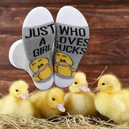 LEVLO Pickle Socks Pickle Lover Gift Just A Girl Who Loves Pickles Novelty Socks thumbnail 5