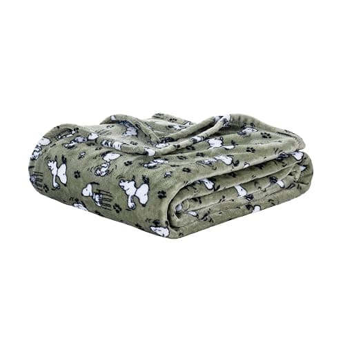 Berkshire Blanket Peanuts® VelvetLoft® Cute Character Snoopy Plush Blanket,Loden Green,Twin 60 in x 90 in (Official Peanuts® Product) - Image 1