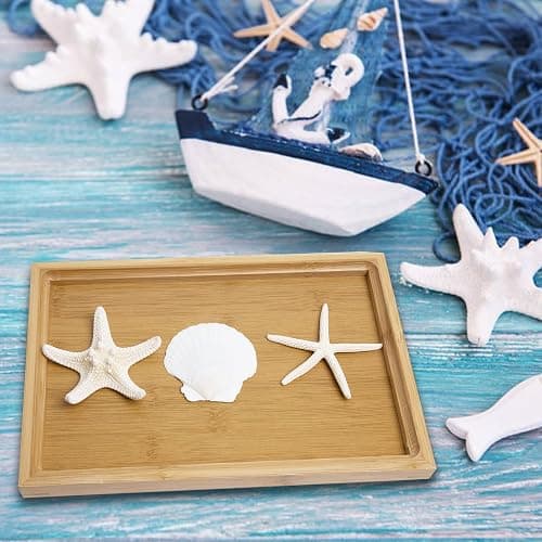 JQAQJU 3-4 Inches Large Starfish and Scallop Shells for Crafts 12PCS, Natural Beach Sea Shells for Crafting, Baking Shells Perfect for White Christmas Decor Beach Party Wedding Fishtank DIY Crafts thumbnail 8