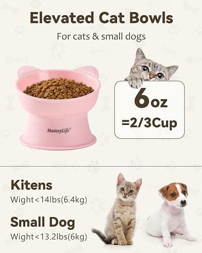MateeyLife Raised Cat Bowls, Cat Food Bowl Elevated for Kittens & Small Dogs, 15°Tilted Protect Pets' Neck and Anti Vomiting, Whisker Friendly Food & Water Feeding Bowl, 6 oz Each - Pink thumbnail 6