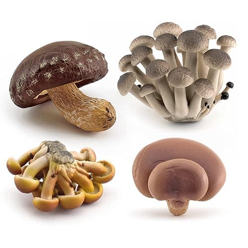 GUFOPONAS Realistic mini Life Cycle of Mushroom Figure Toy Set 4PCS Mushroom Decor for Diorama Projects Kids Birthday Gift Learning Toy - Image 1