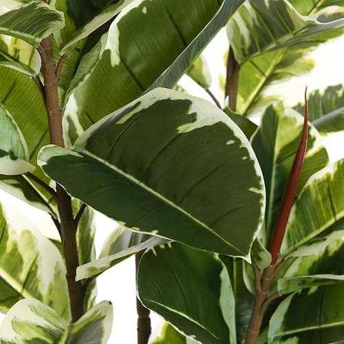 FLOWORLD Artificial Rubber Tree Plant 6ft Tall Faux Ficus Tree Potted Fake Tropical Plants Decorative House Plants Large Floor Artificial Trees for Home Office Decor, Without The Pot thumbnail 4