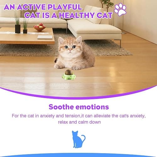 Kadays Catnip Balls for Indoor Cats 4 Pack Wall Mounted Rotatable Cat Toys Teeth Cleaning and Stress Relief Adhesive Catnip Stick on Wall Toys Interactive Chew for Kittens Play Entertainment thumbnail 5