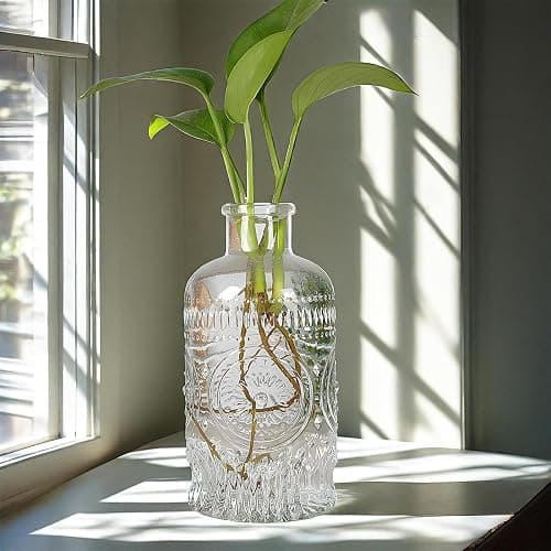 TIWPAJS Propagation Vases for Plants, Bud Vases, Small Glass Vase for Flowers, Home Decor, Table Decor, Shelf Decor, Desk Decor, Office Decor thumbnail 6