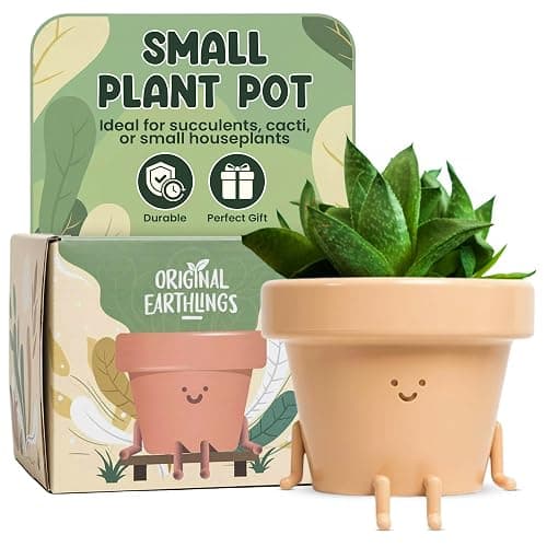 Original Earthlings Sitting Small Plant Pot - 4 Inch Cute Plant Pot - Succulent & Cactus Christmas Planters, Removable Drainage Plug, Cute Decor Plant Gifts for Plant Lovers, Teacher Gifts thumbnail 9