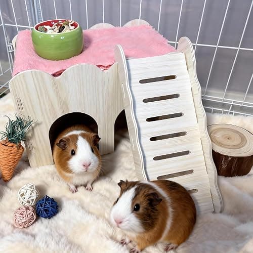 Guinea Pig Hideout Hamster Wood House Maze Platform Detachable Accessories with Ladder for Rat Hamster Squirrel Gerbil Sugar Glider thumbnail 5