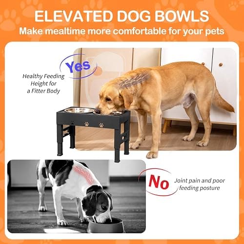 LAKIPETN Elevated Dog Bowls with 2 Stainless Steel Bowls, Raised Dog Food Bowl Stand 5 Height Adjustable (3.1", 9", 10", 11", 12") Non-Slip Feeder Station Set for Medium and Large Dogs - Black thumbnail 4
