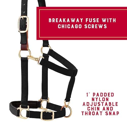 Weaver Equine Breakaway Horse Halter, Comfort Foam Padding, Adjustable Chin & Throat Snap Halters for Horses, Equine Tack,Average Size thumbnail 3