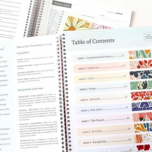 The Bible In A Year: A 52-Week Bible Study For Women Spiral, Spiral Bible In A Year, The Daily Walk Bundle, A Daily Bibles Study Workbook With Note Taking Space For Guided Reading Plan (8.27*5.83inch) thumbnail 5