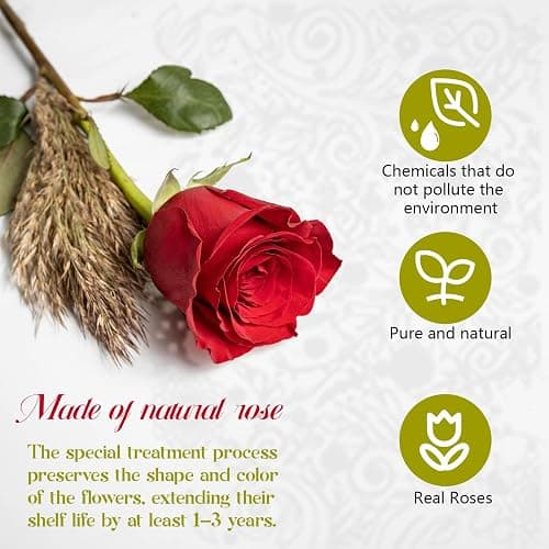 16-Piece Forever Flowers Heart-Shaped Box – Real Immortal Preserved Roses Lasting a Year, Perfect for Birthday, Girlfriend, Mother, or Wife, Valentine Day Gift for Her - Red thumbnail 4