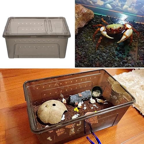POPETPOP Reptile Terrarium Box 10.24×7.09×4.53In Plastic – Ventilated & Secure for Escape Prevention, Easy Feeding Access Without Disturbance – for Small Reptiles, Insects, Hatchlings, Geckos, Tortois thumbnail 7