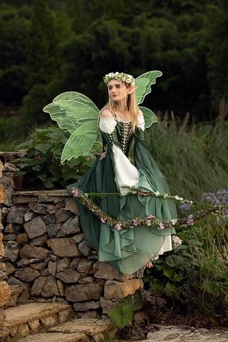 daizbella Renaissance Costume Women Ren Faire Dress Outer Garment Elf Costume for Women(Underskirt Not Included) thumbnail 2
