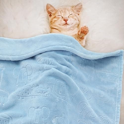 BORITAR Baby Blanket for Boys Girls Ultra Soft Fleece Warm and Lightweight Animal Blankets for Infant Toddler Newborn, 30x40 Inch, Blue thumbnail 3