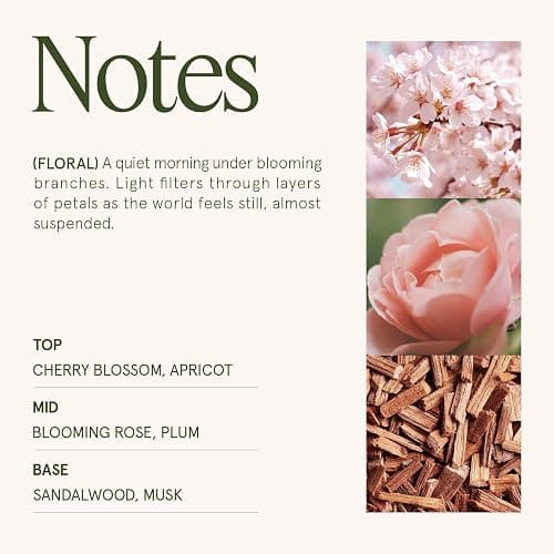 LA JOLIE MUSE Cherry Sakura Candle - Cherry Blossom, Rose, Sandalwood | 6 oz Natural Soy Wax | 40 Hours Clean Burn | Floral Scented Candle | Gift-Ready for Hosts & Gatherings thumbnail 4
