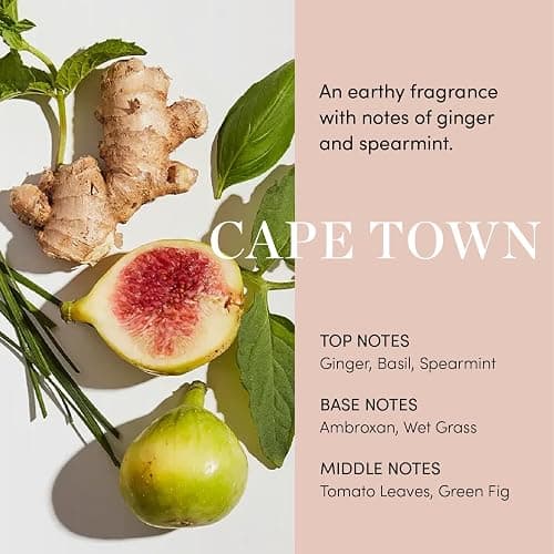 OUAI Scalp Serum - Balancing Hair Serum with Red Clover Extract, Siberian Ginseng and Peptides for Thicker and Fuller-Looking Hair - Paraben, Phthalate and Sulfate Free Scalp Care (2 Fl Oz) thumbnail 6