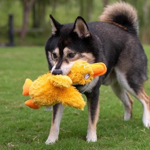 Best Pet Supplies Interactive Squeaky Dog Chew Toy, Ideal Dog Toys for Chewers, Small, Medium & Large Dogs, and Fetch Lovers - Ducky Doodle (Yellow), Small thumbnail 6