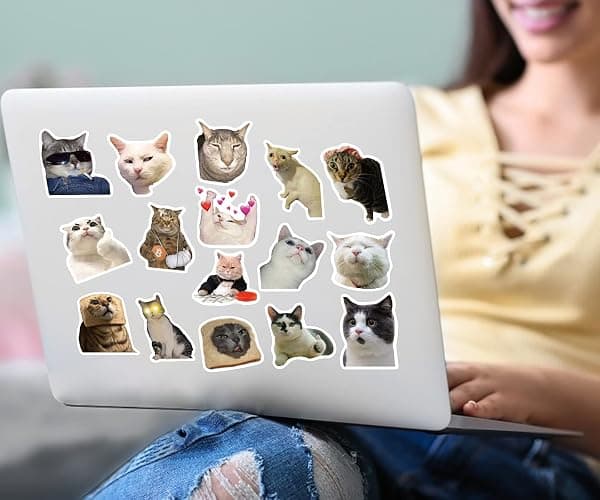 SEEYEON 50Pcs Cute Cat Stickers, Funny Cat Meme Vinyl Stickers Decals for Laptop Water Bottle Phone Luggage, Sticker Gift for Kids Teens Boys Girls, Cat Meme Stickers (SEEYEON) thumbnail 2
