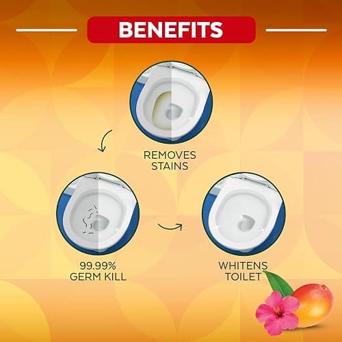 Lysol Brand New Day Toilet Bowl Cleaner, Disinfectant Gel, 710 mL | Removes Hard Water & Rust Stains, Kills Germs, Angled Bottle, Mango & Hibiscus Fragrance thumbnail 3