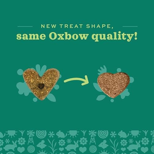 Oxbow Animal Health Simple Rewards Veggie Treats, Carrots & Bell Pepper Guinea Pig & Bunny Treats, Pet Snack for Rabbit & Guinea Pig, Made with Oxbow Hay, Alfalfa for Rabbit, 3 oz Bag thumbnail 7