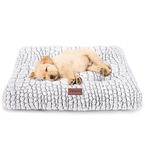 Doggy Bed  - Image 1