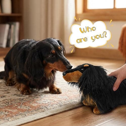 Dachshund Stuffed Dog Animal Plush Toy 17" Standing Black Tan Wiener Realistic Long Haired with Fluffy Curly Fur Lifelike Sausage Doxie Puppy Gifts for Kids Decor Dog Lover Non-Vacuumed Gift Ready thumbnail 6